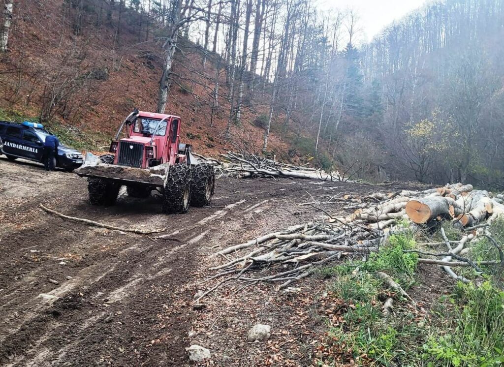 Amenzi de 16.000 de lei pentru transport de bușteni prin albia unor râuri de munte