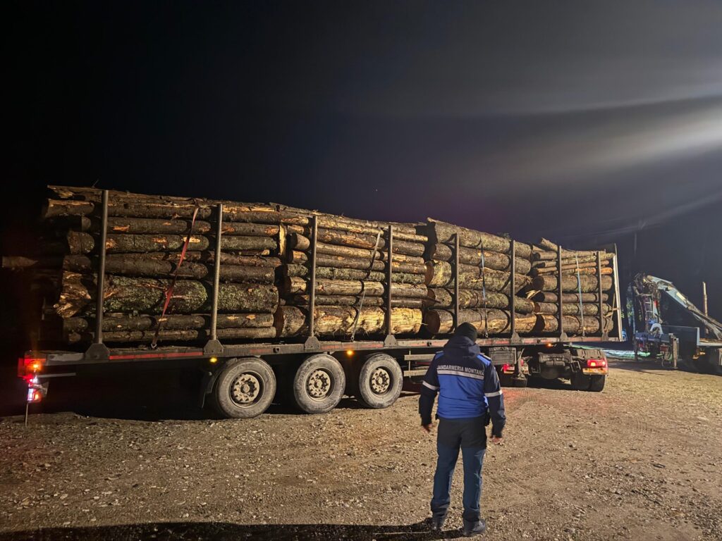 Transport ilegal de lemne capturat de jandarmii montani de la Rânca